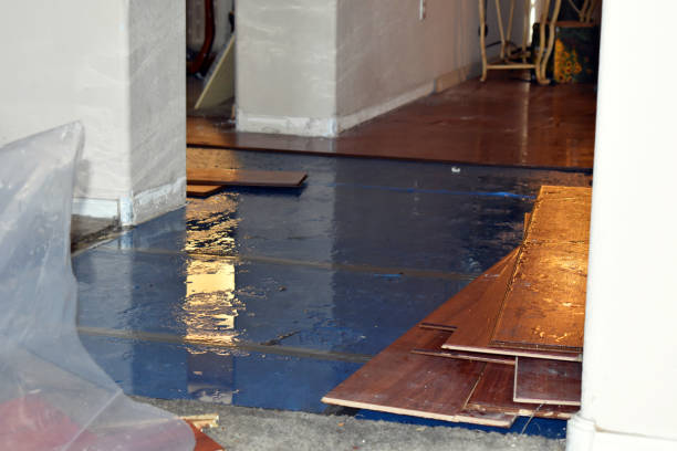 Professional Water Damage Restoration technician working in Blaine, OH